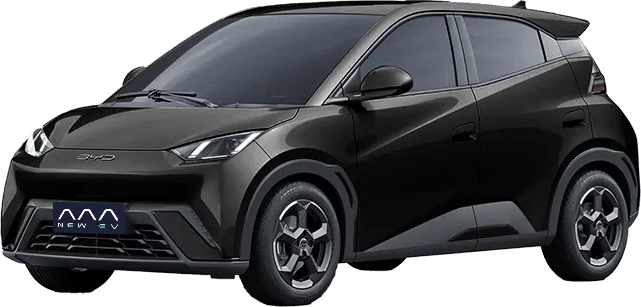 byd seagull black