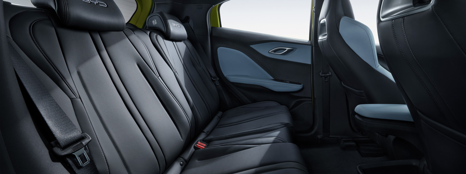 SEAGULL BACK SEATS